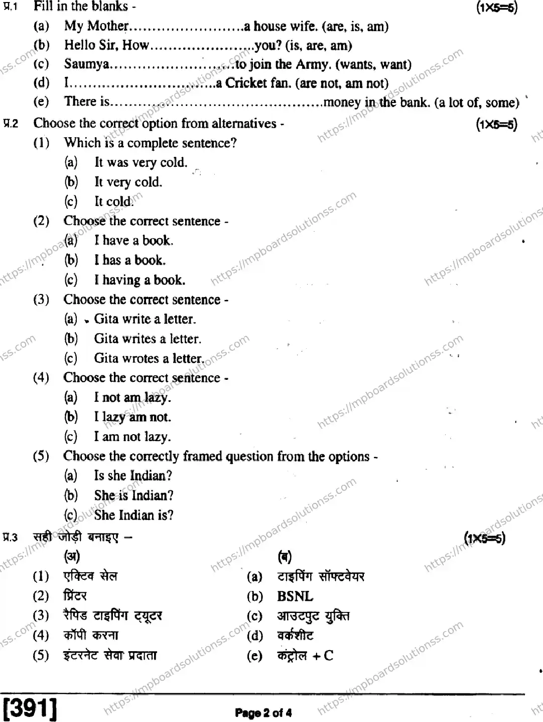 MP Board Class 9 Ites VM-839709 Final Paper 2019 Image 2