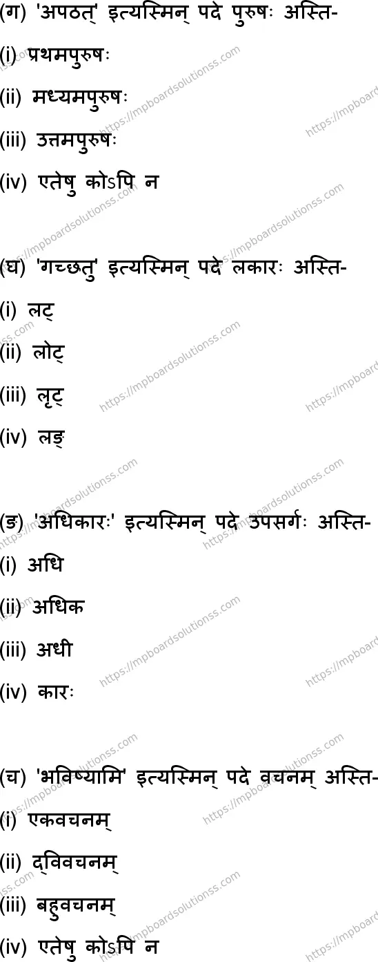 MP Board Class 9 Sanskrit-161433 Final Paper 2025 Image 2