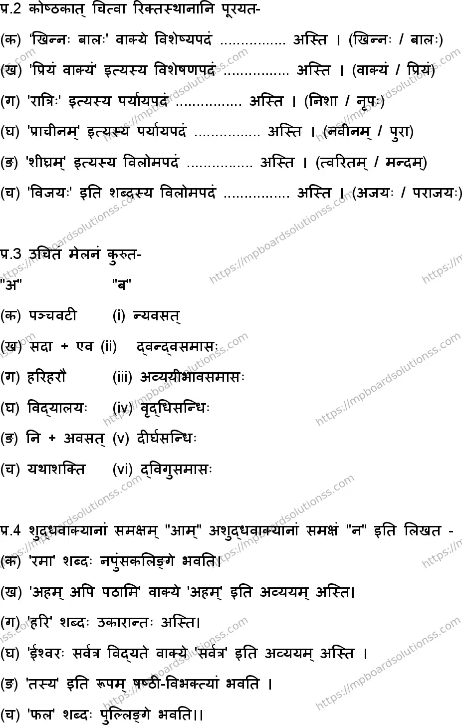 MP Board Class 9 Sanskrit-161433 Final Paper 2025 Image 3