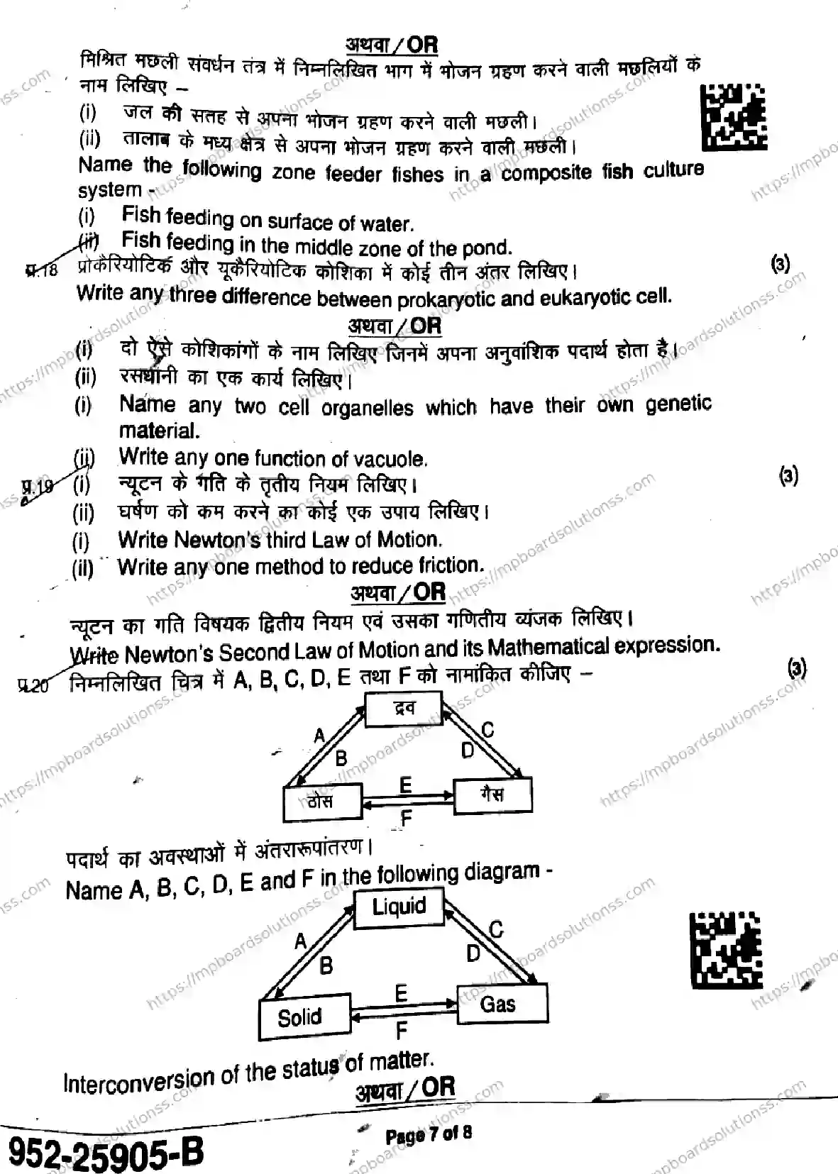 MP Board Class 9 Science-225144 Final Paper 2025 Image 7