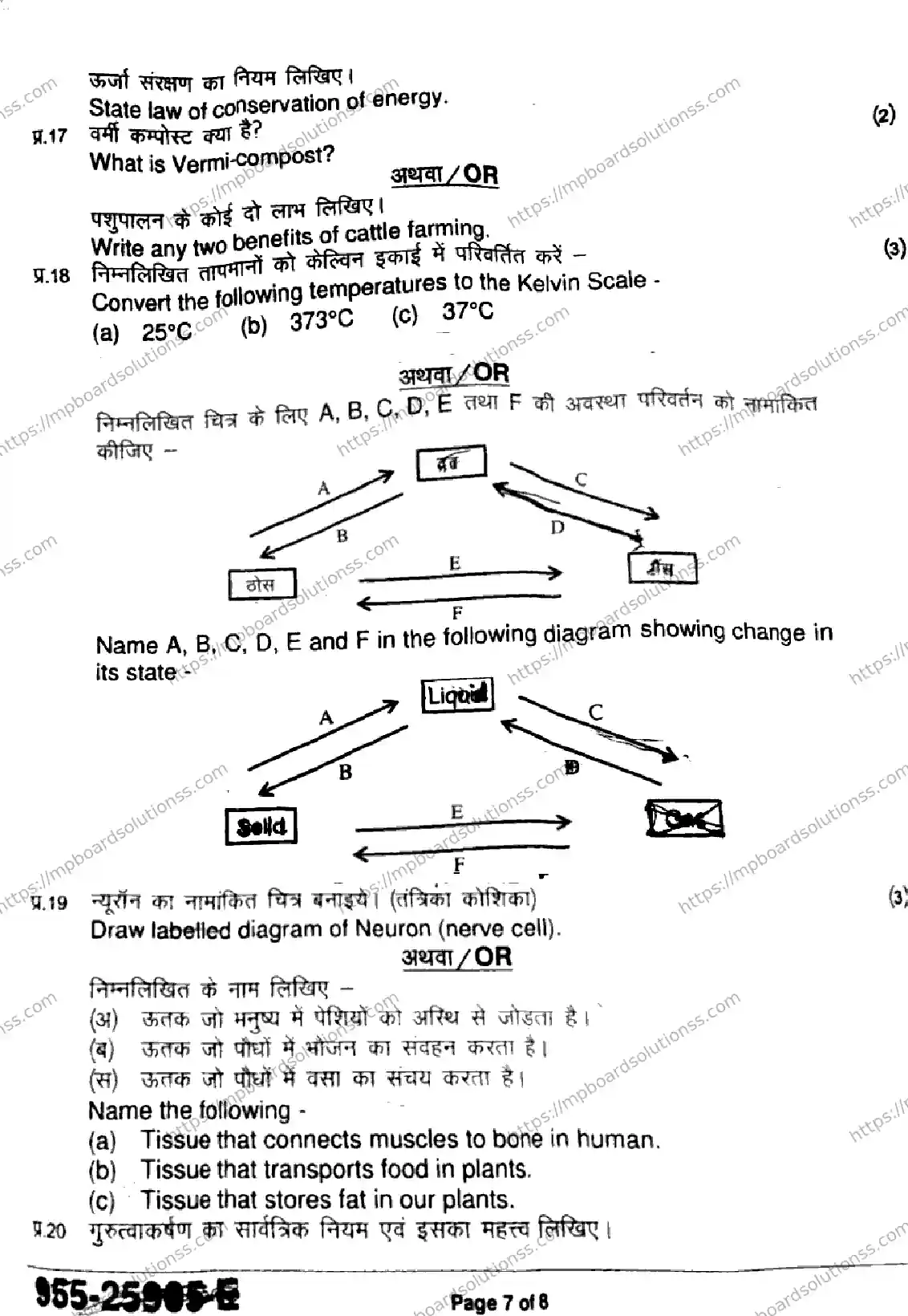 MP Board Class 9 Science-649857 Final Paper 2025 Image 7