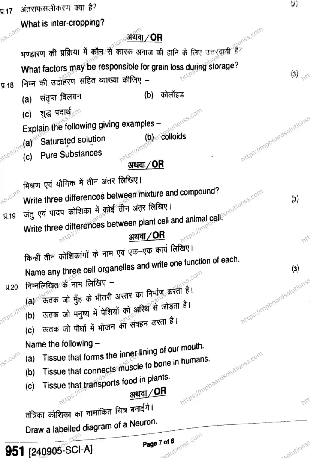 MP Board Class 9 Science-663746 Final Paper 2024 Image 7