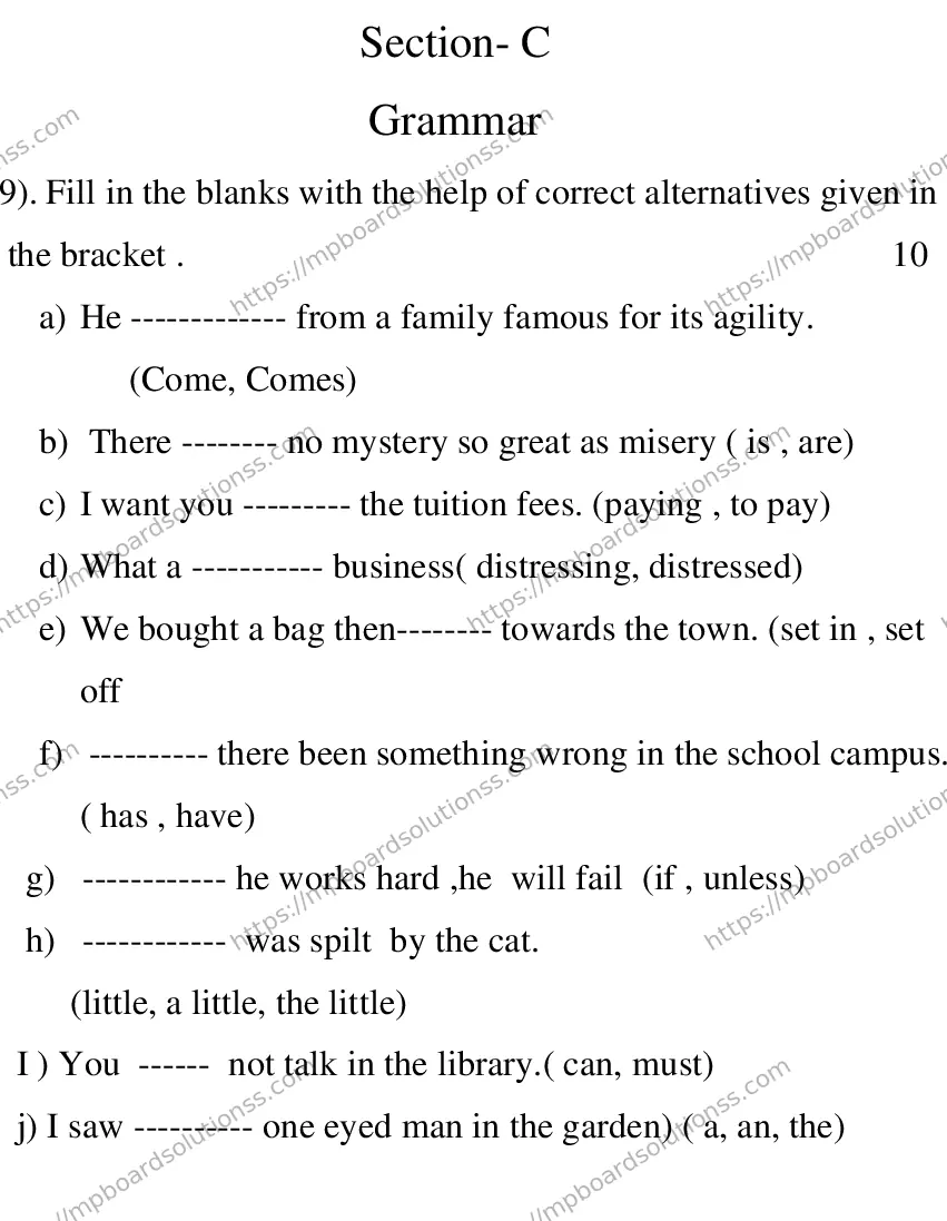 MP Board CLASS 10 ENGLISH-SPECIAL-LANGUAGE-SET-1-3 0001 Sample Paper Image 9