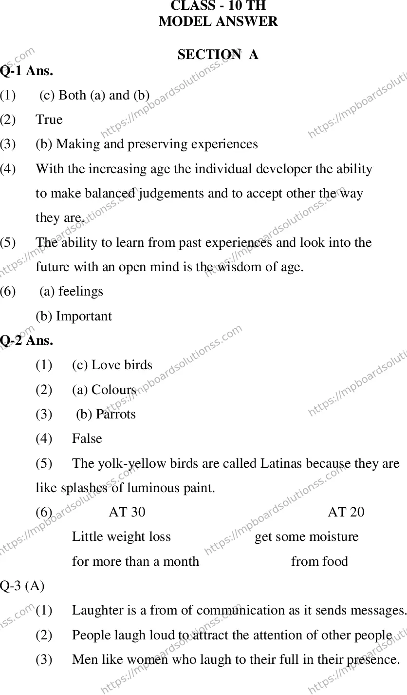 MP Board CLASS 10 ENGLISH-SPECIAL-LANGUAGE-SET-2-3 2013 Sample Paper Image 10