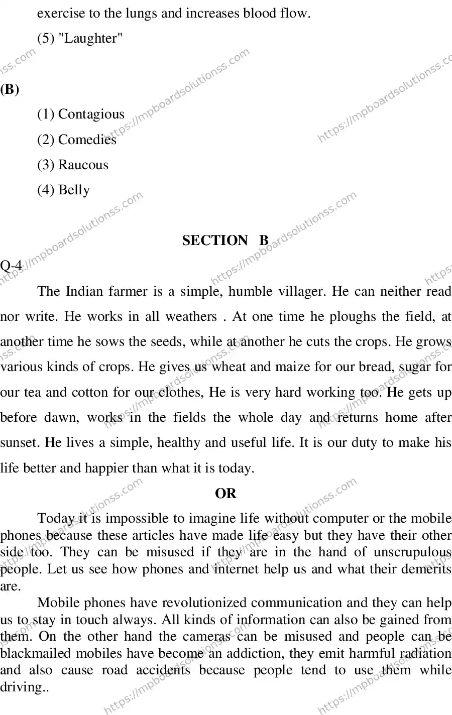 MP Board CLASS 10 ENGLISH-SPECIAL-LANGUAGE-SET-2-3 2013 Sample Paper Image 11