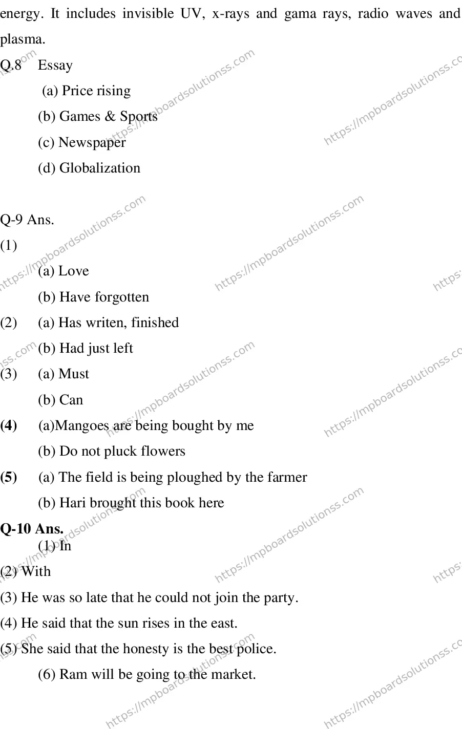 MP Board CLASS 10 ENGLISH-SPECIAL-LANGUAGE-SET-2-3 2013 Sample Paper Image 15