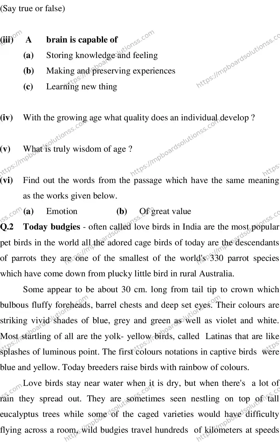 MP Board CLASS 10 ENGLISH-SPECIAL-LANGUAGE-SET-2-3 2013 Sample Paper Image 2