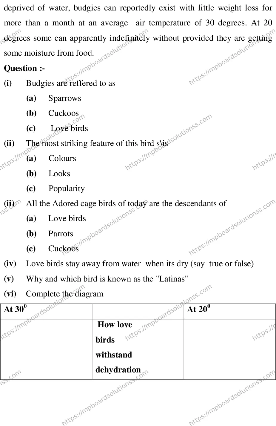 MP Board CLASS 10 ENGLISH-SPECIAL-LANGUAGE-SET-2-3 2013 Sample Paper Image 3
