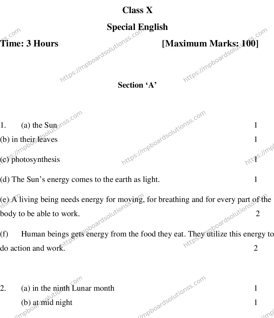 MP Board CLASS 10 ENGLISH-SPECIAL-LANGUAGE-SET-3-3 0003 Sample Paper Image 11