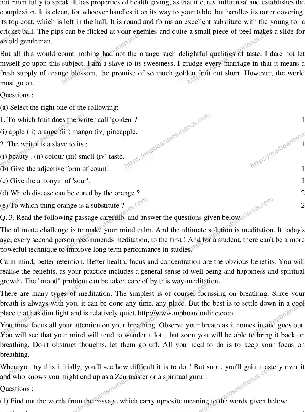 MP Board CLASS 10 ENGLISH-SPECIAL-SET-3 2020 Sample Paper Image 2