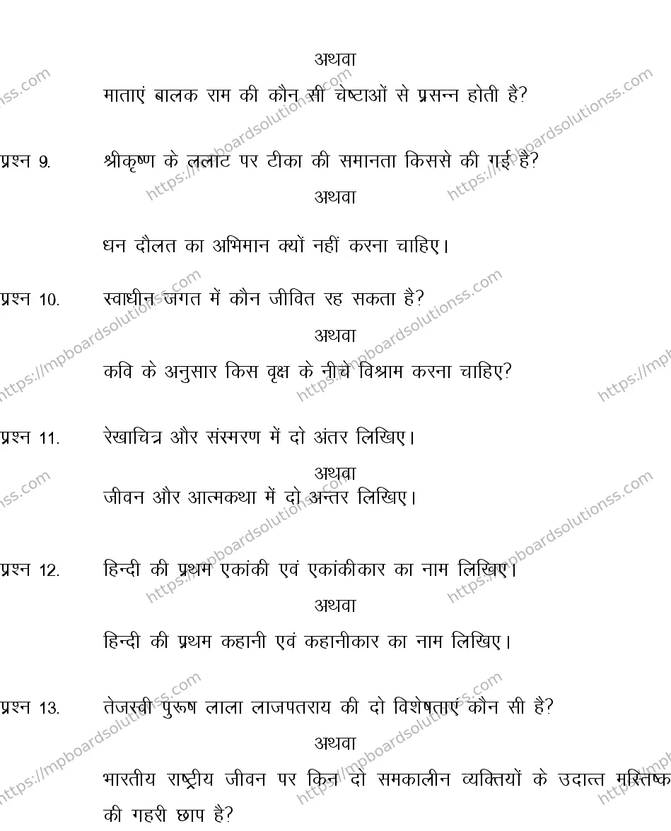 MP Board CLASS 10 HINDI-SPECIAL-LANGUAGE-SET-1-3 2013 Sample Paper Image 4