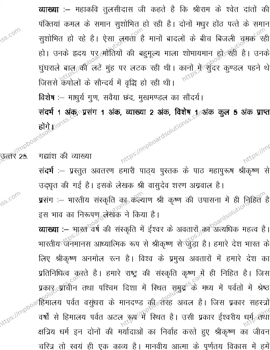 MP Board CLASS 10 HINDI-SPECIAL-LANGUAGE-SET-2-3 0008 Sample Paper Image 20