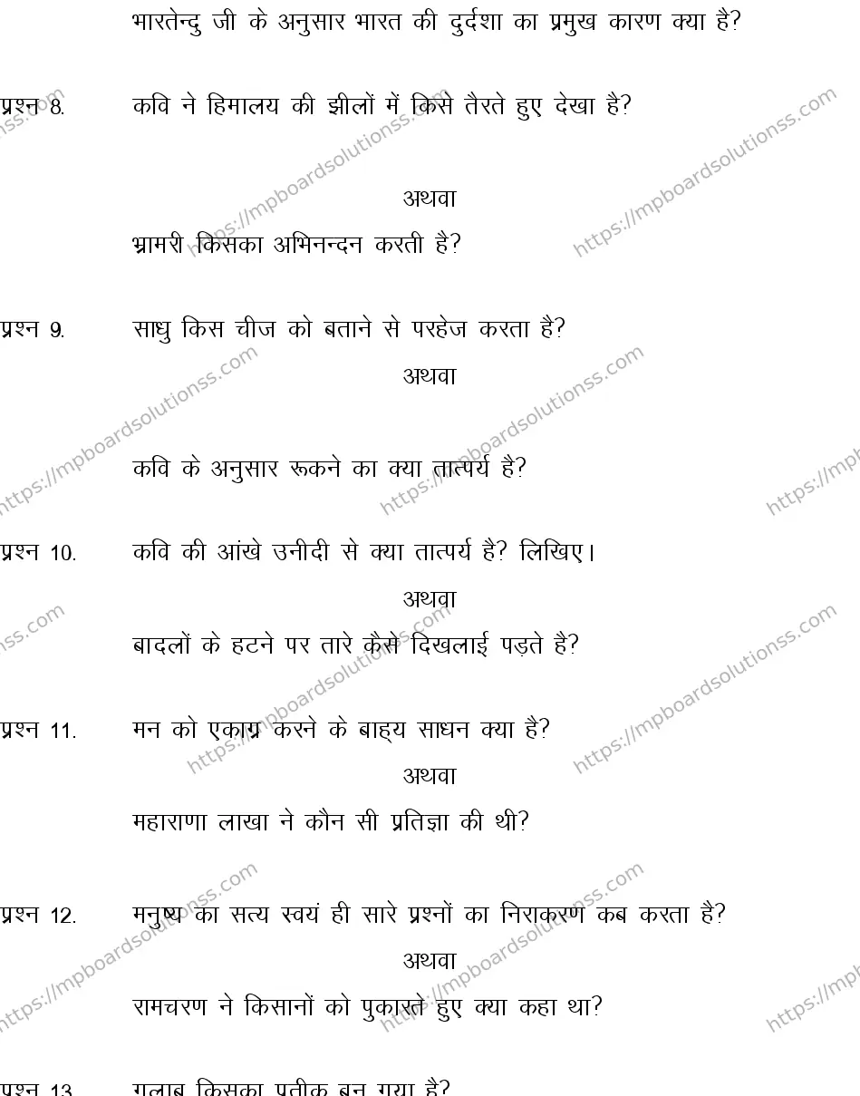 MP Board CLASS 10 HINDI-SPECIAL-LANGUAGE-SET-2-3 0008 Sample Paper Image 4