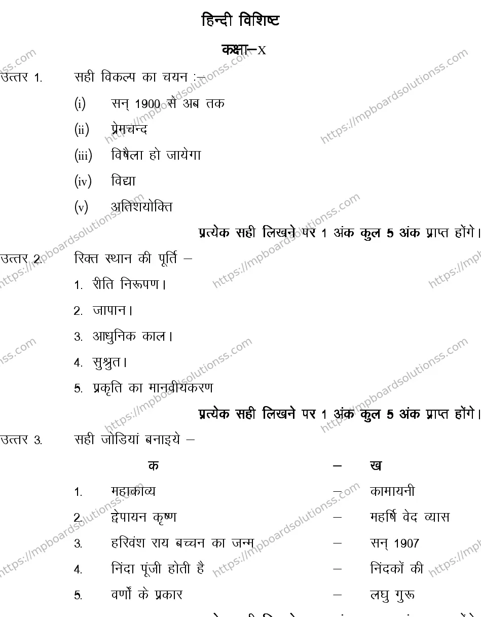 MP Board CLASS 10 HINDI-SPECIAL-LANGUAGE-SET-3-3 0009 Sample Paper Image 10