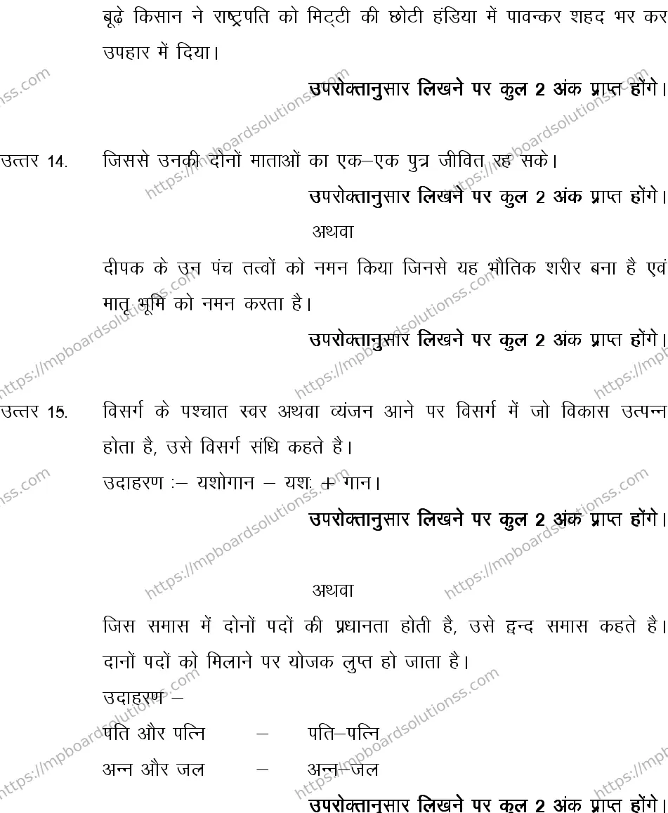 MP Board CLASS 10 HINDI-SPECIAL-LANGUAGE-SET-3-3 0009 Sample Paper Image 14