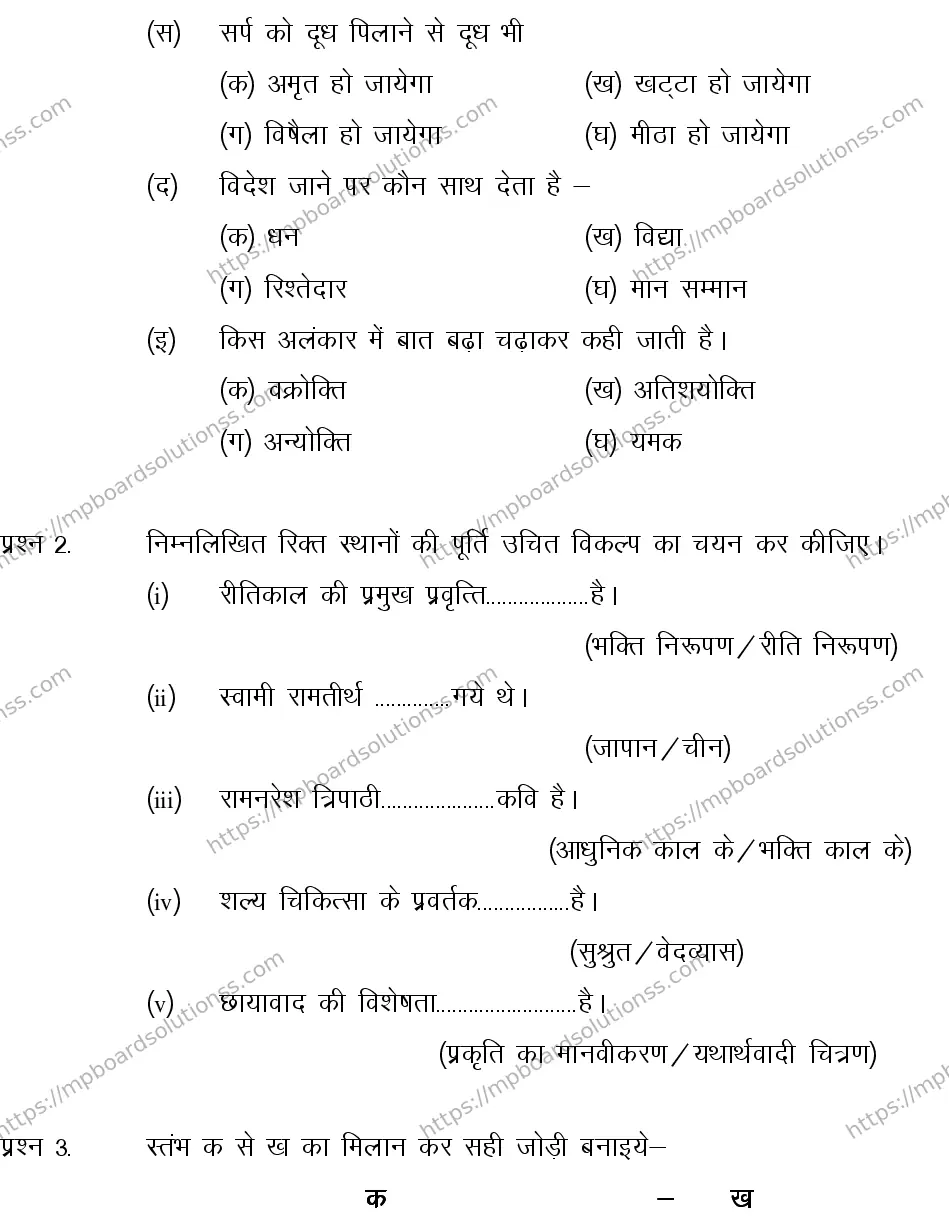 MP Board CLASS 10 HINDI-SPECIAL-LANGUAGE-SET-3-3 0009 Sample Paper Image 2