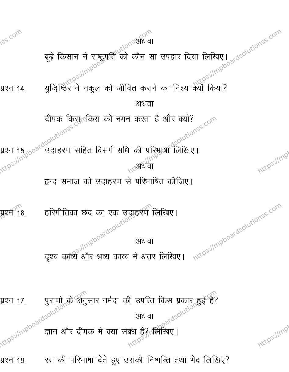MP Board CLASS 10 HINDI-SPECIAL-LANGUAGE-SET-3-3 0009 Sample Paper Image 5