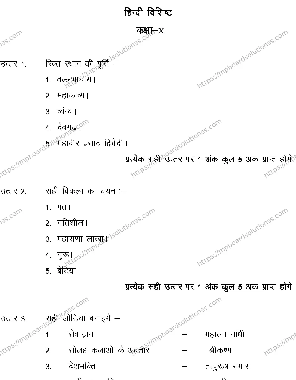 MP Board CLASS 10 HINDI-SPECIAL-LANGUAGE-SET-4-3 0010 Sample Paper Image 10