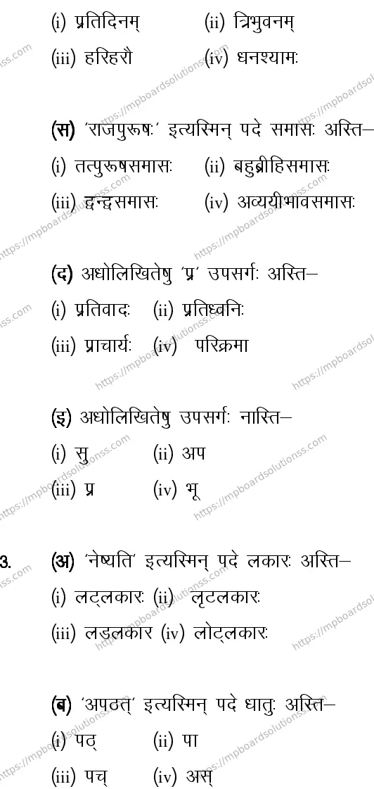 MP Board CLASS 10 SANSKRIT-GENERAL-LANGUAGE-SET-1-3 0016 Sample Paper Image 2