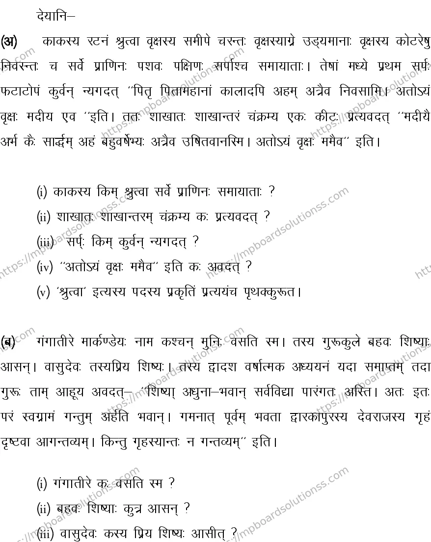 MP Board CLASS 10 SANSKRIT-GENERAL-LANGUAGE-SET-4-3 0019 Sample Paper Image 5