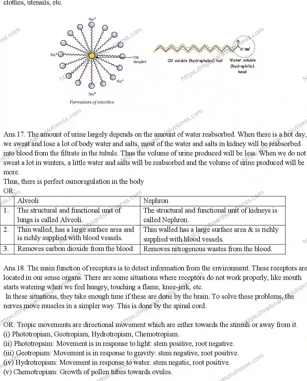 MP Board CLASS 10 SCIENCE-1-2019-A SWER Sample Paper Image 4