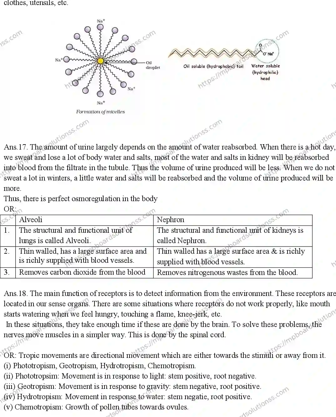 MP Board CLASS 10 SCIENCE-1-WITH-ANSWER-EM 2019 Sample Paper Image 6