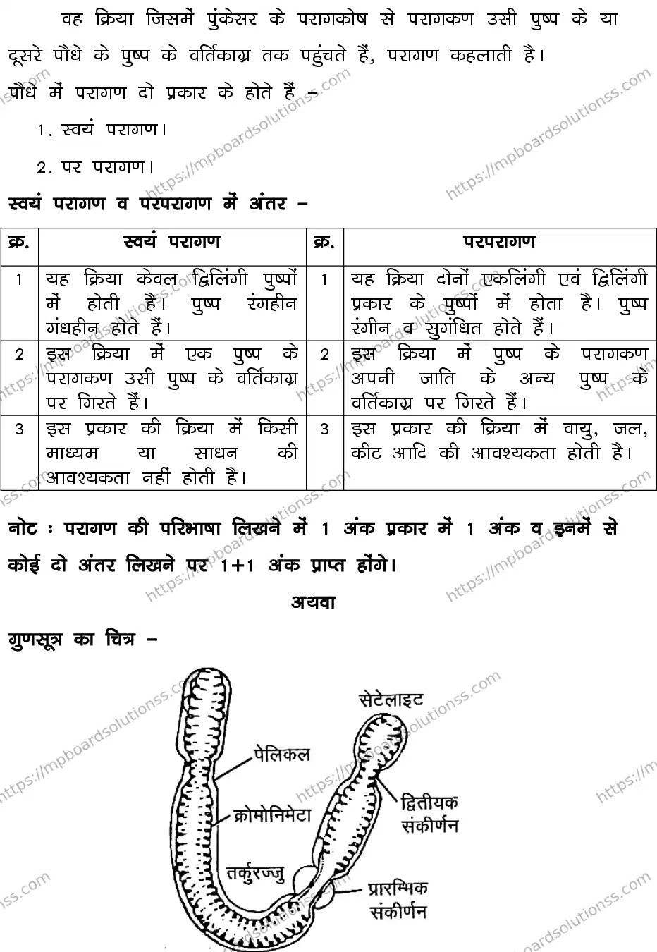 MP Board CLASS 10 SCIENCE-SET-1-3 0020 Sample Paper Image 16