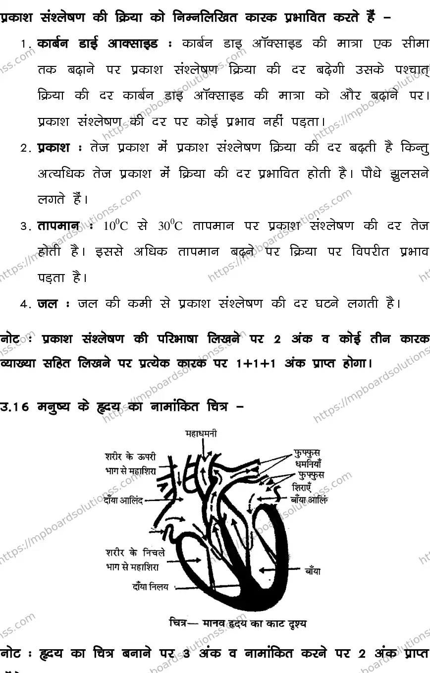 MP Board CLASS 10 SCIENCE-SET-1-3 0020 Sample Paper Image 22