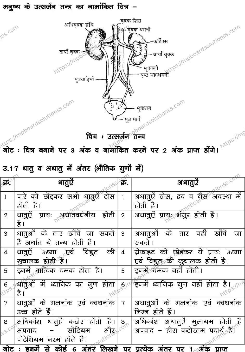 MP Board CLASS 10 SCIENCE-SET-1-3 0020 Sample Paper Image 23