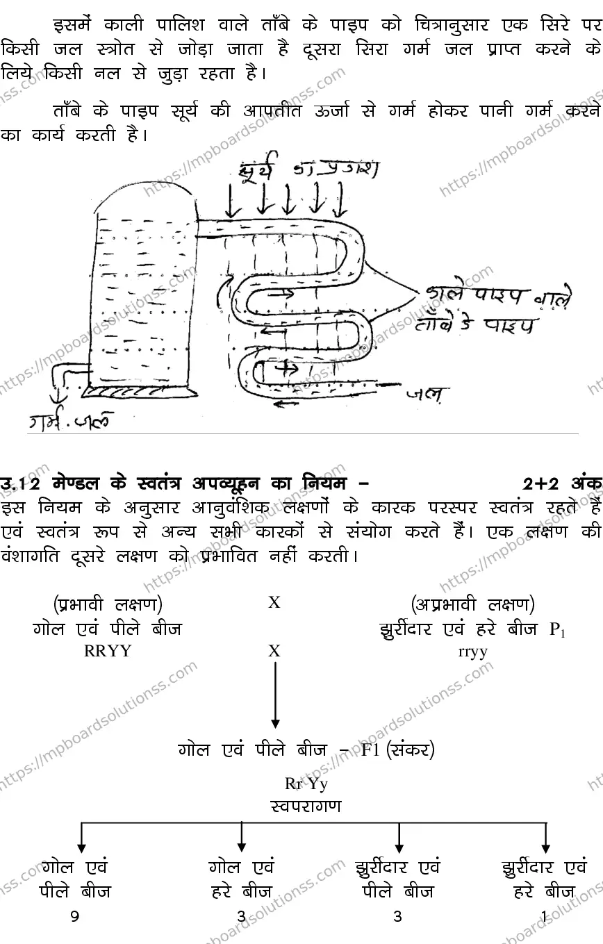 MP Board CLASS 10 SCIENCE-SET-2-3 0021 Sample Paper Image 15