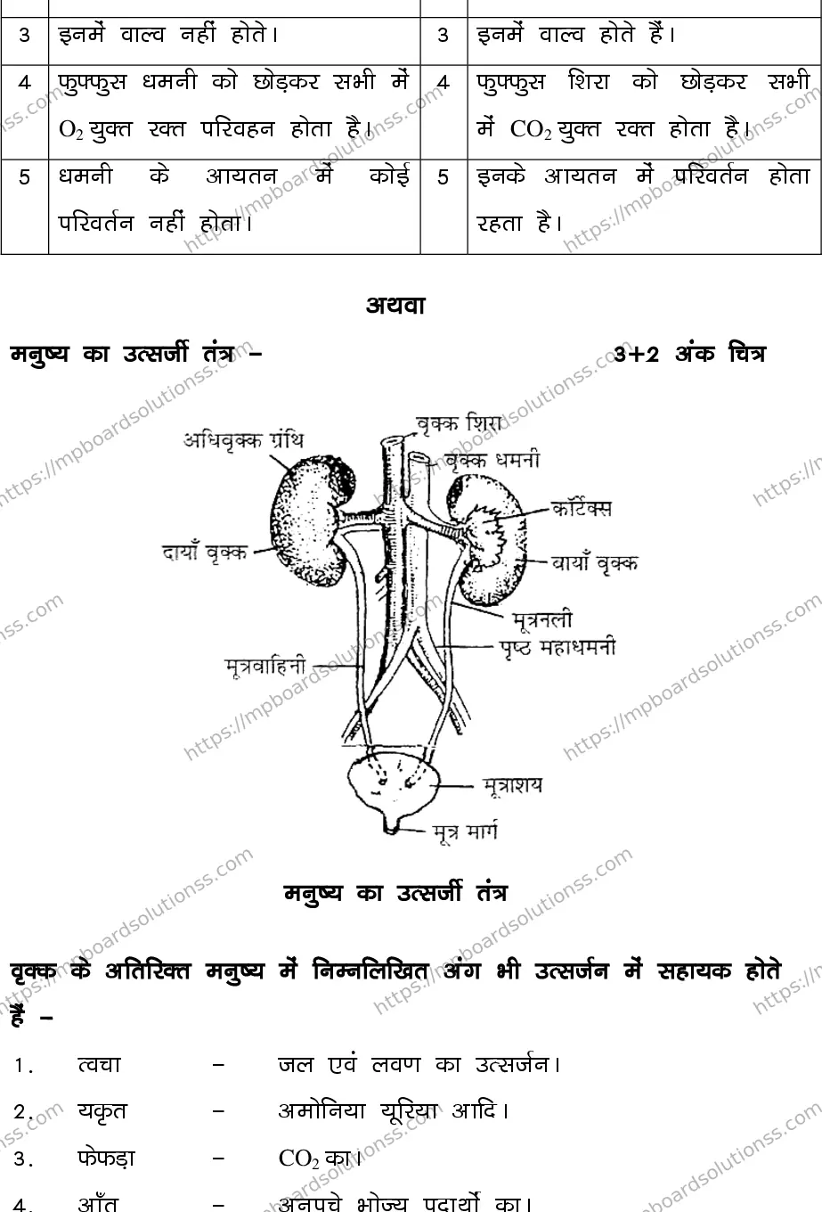 MP Board CLASS 10 SCIENCE-SET-2-3 0021 Sample Paper Image 19