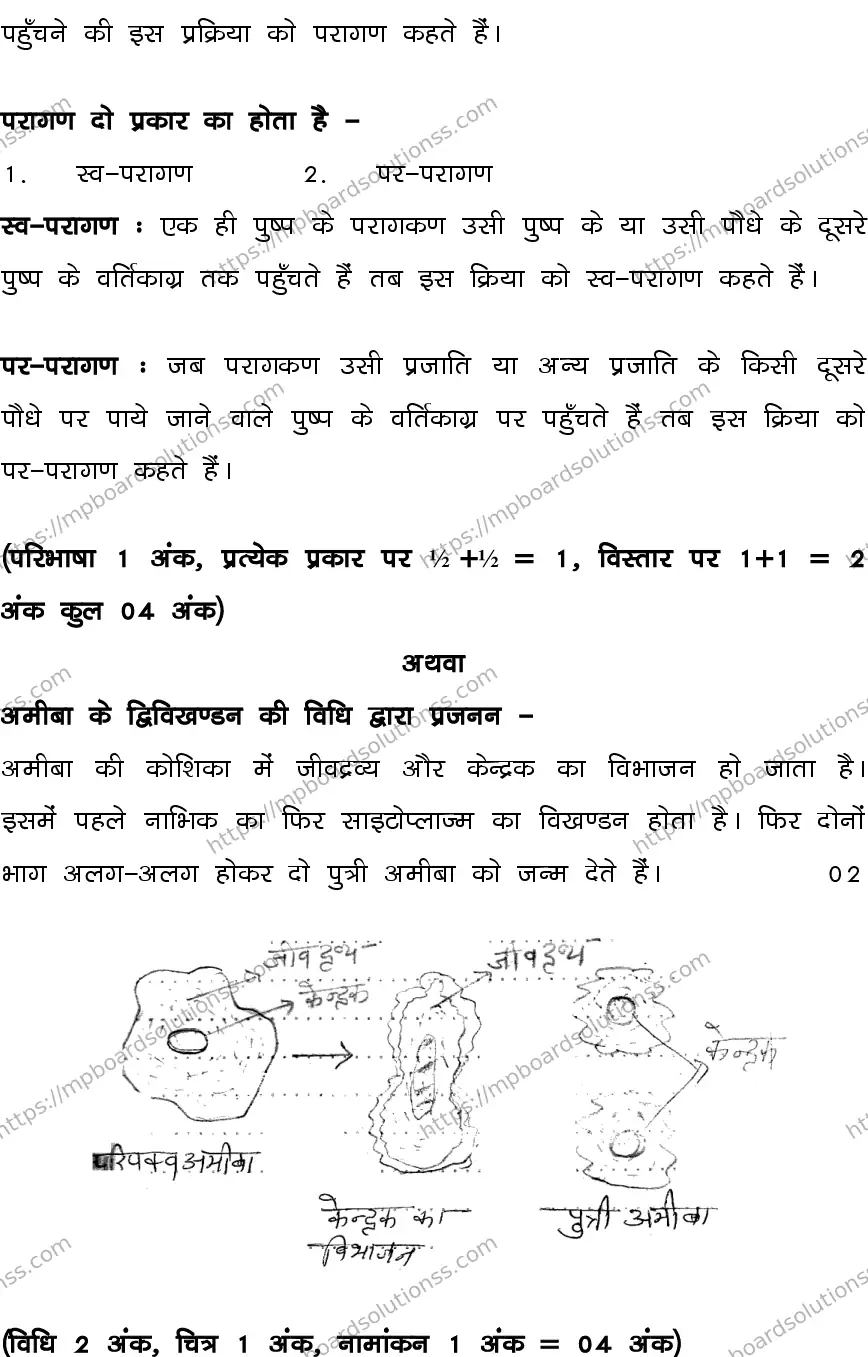 MP Board CLASS 10 SCIENCE-SET-3-3 0022 Sample Paper Image 16