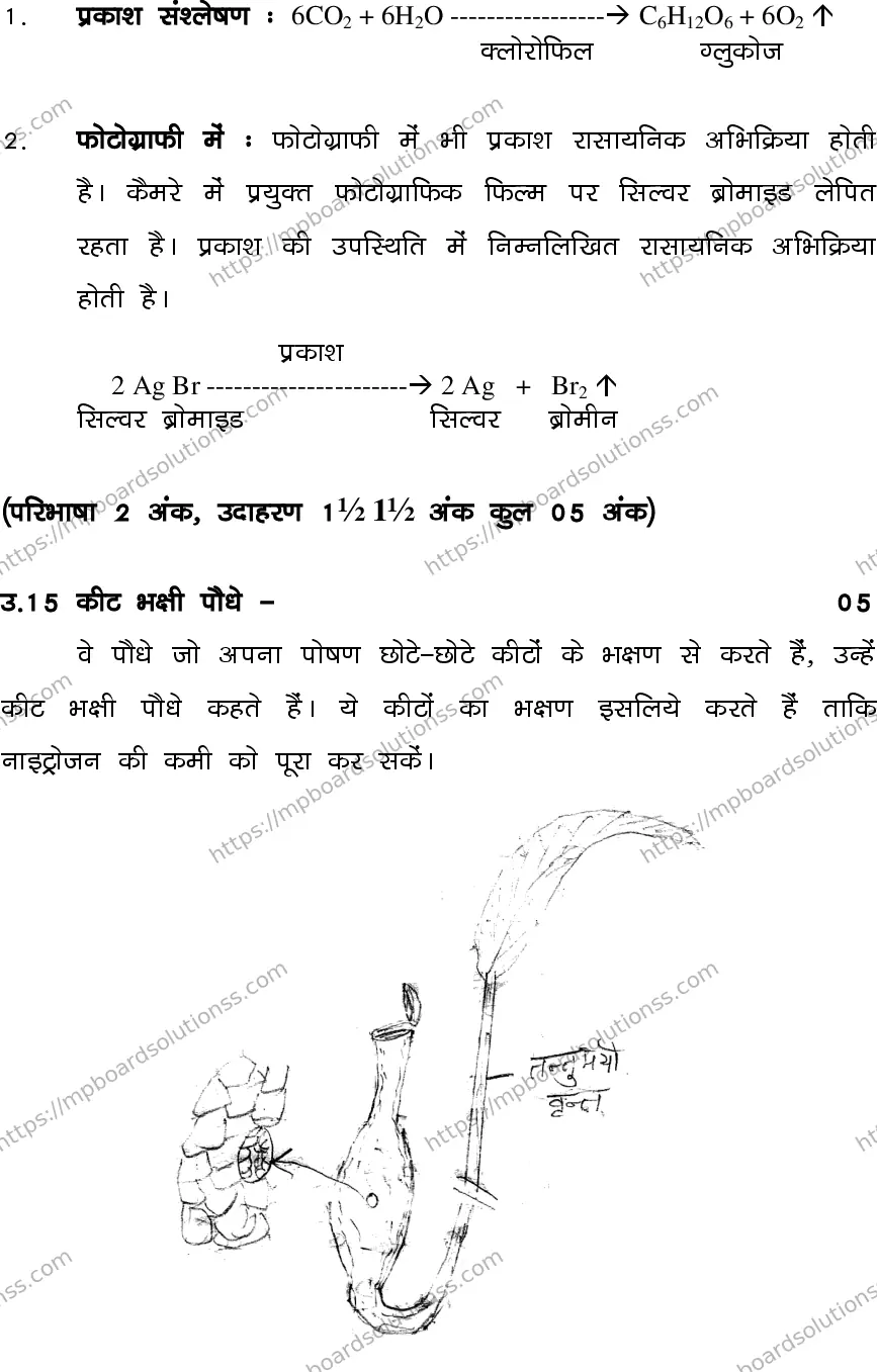 MP Board CLASS 10 SCIENCE-SET-3-3 0022 Sample Paper Image 19
