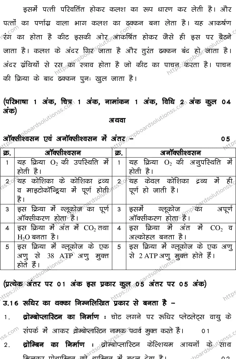 MP Board CLASS 10 SCIENCE-SET-3-3 0022 Sample Paper Image 20
