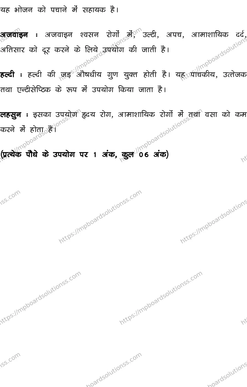 MP Board CLASS 10 SCIENCE-SET-3-3 0022 Sample Paper Image 24