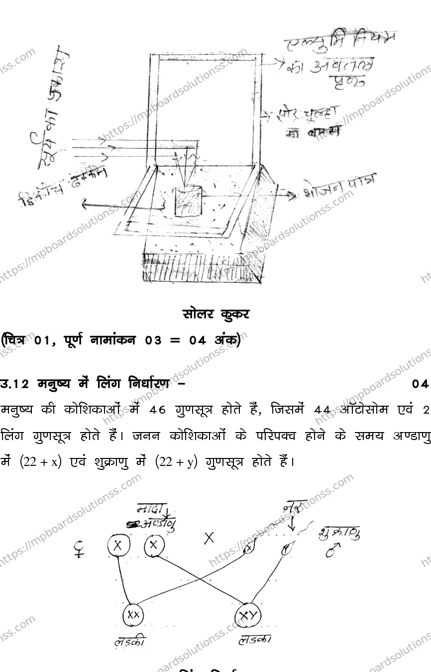 MP Board CLASS 10 SCIENCE-SET-4-3 0023 Sample Paper Image 13