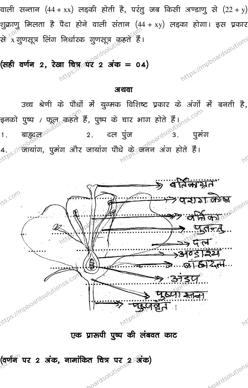 MP Board CLASS 10 SCIENCE-SET-4-3 0023 Sample Paper Image 14