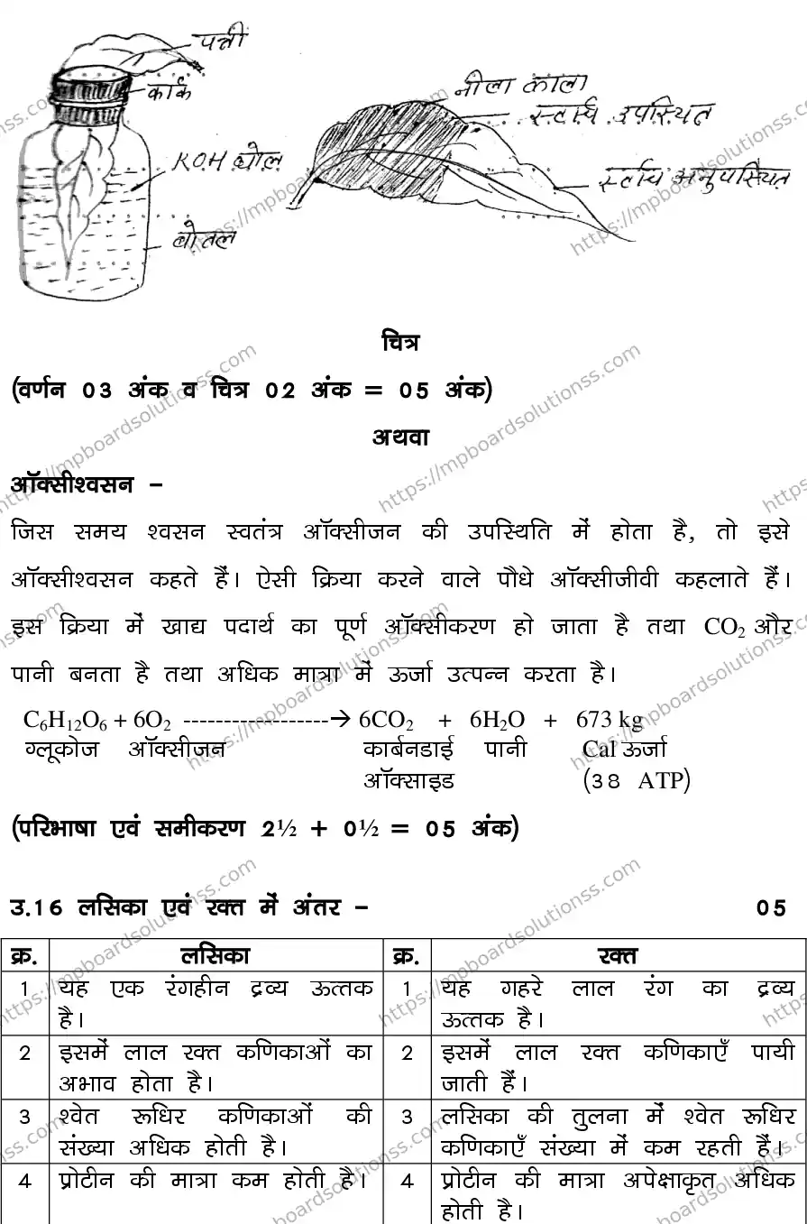 MP Board CLASS 10 SCIENCE-SET-4-3 0023 Sample Paper Image 18