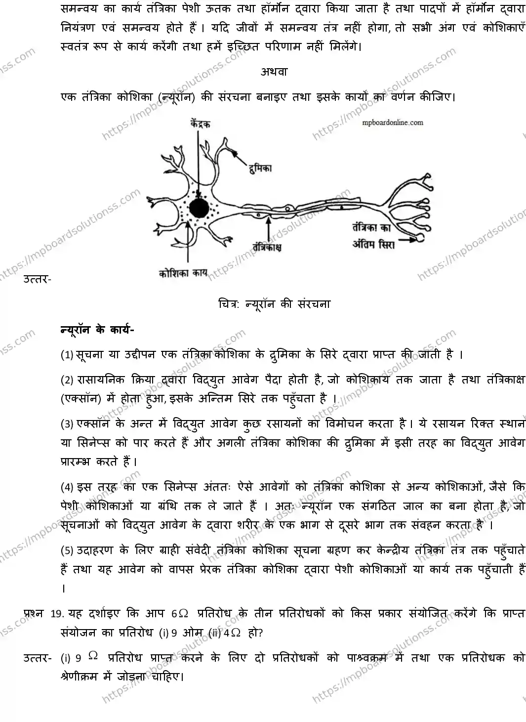 MP Board CLASS 10 SCIENCE-WITH-ANS ER-1 Sample Paper Image 10