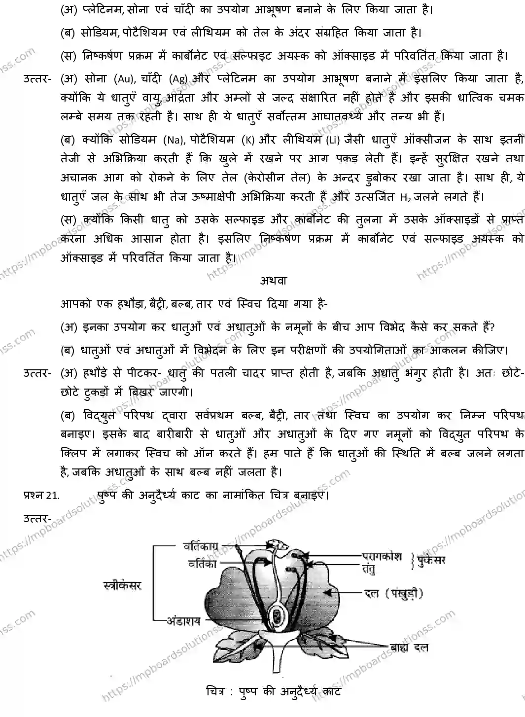 MP Board CLASS 10 SCIENCE-WITH-ANS ER-2 Sample Paper Image 11