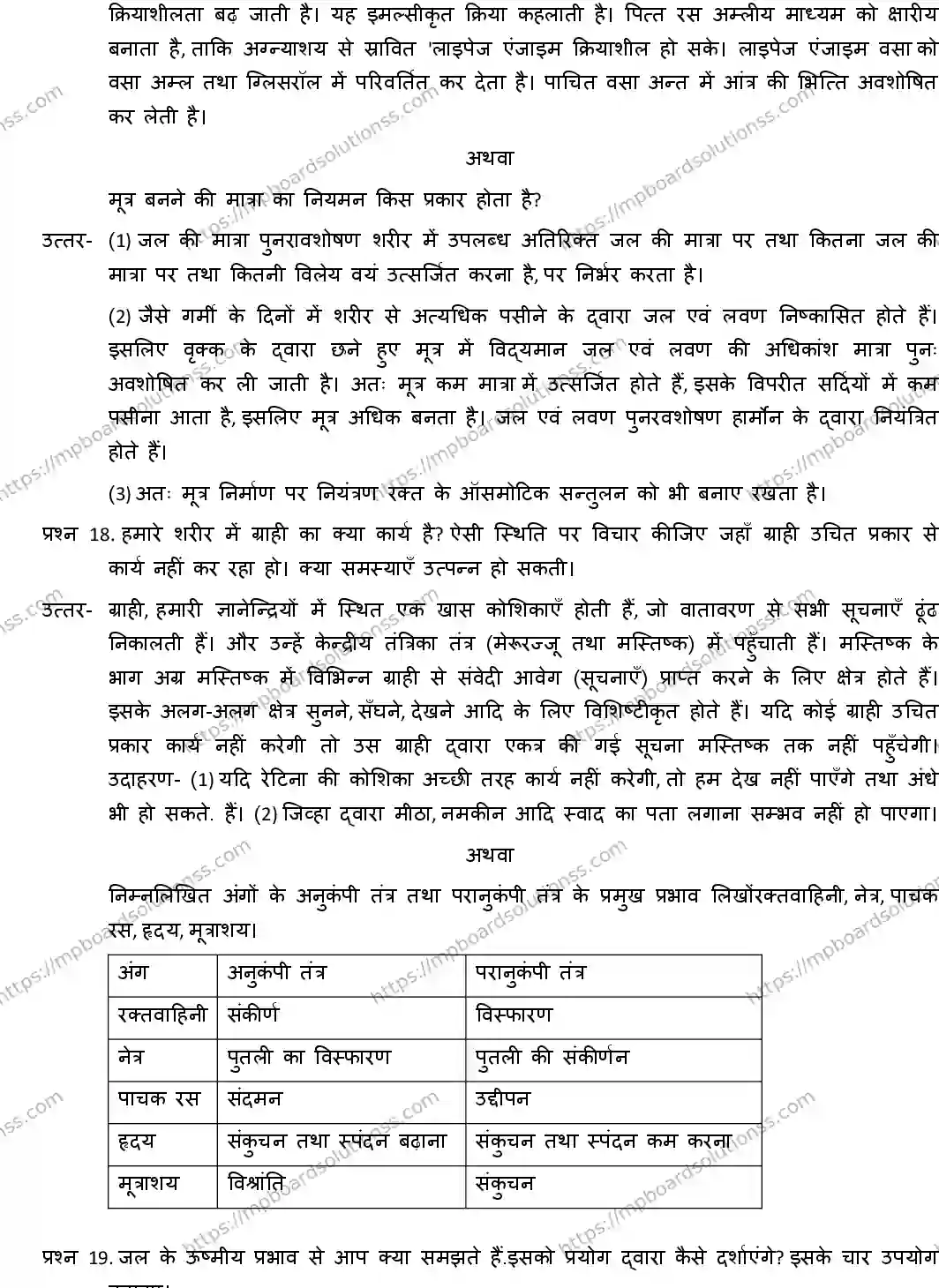 MP Board CLASS 10 SCIENCE-WITH-ANS ER-2 Sample Paper Image 9