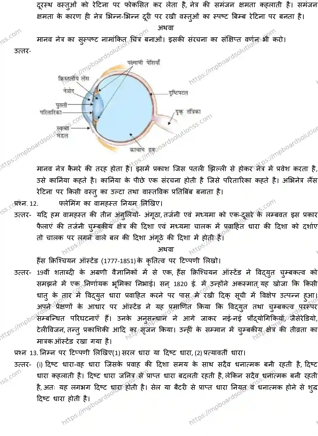MP Board CLASS 10 SCIENCE-WITH-ANS ER-3 Sample Paper Image 6