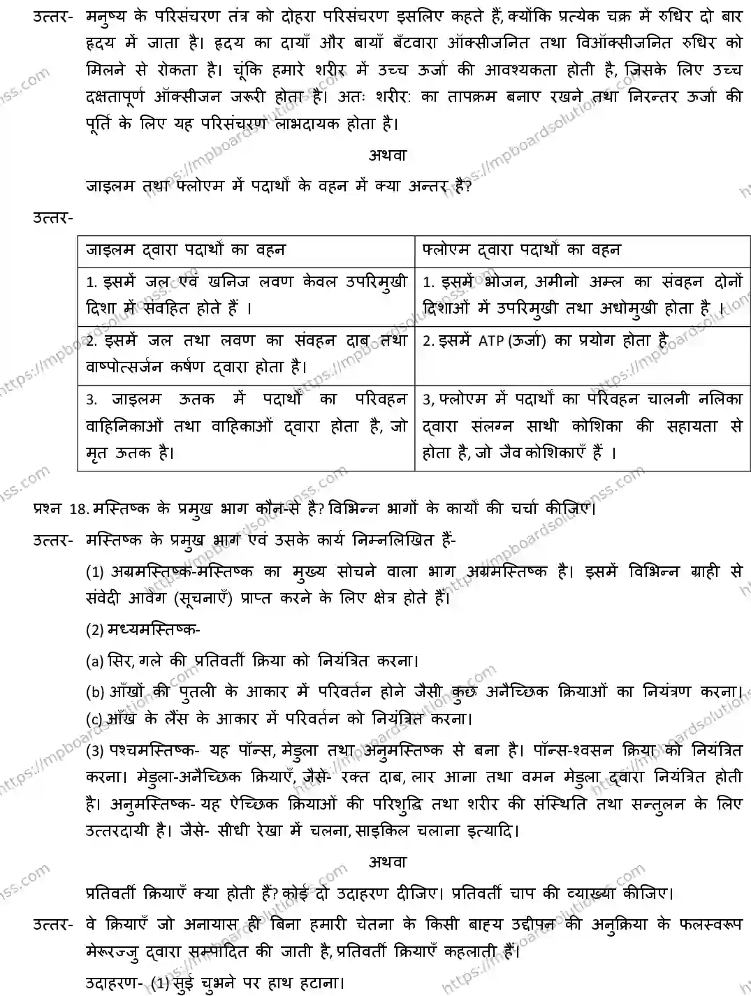 MP Board CLASS 10 SCIENCE-WITH-ANS ER-4 Sample Paper Image 10