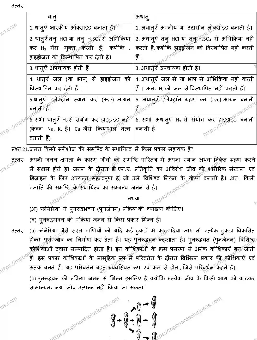 MP Board CLASS 10 SCIENCE-WITH-ANS ER-4 Sample Paper Image 12