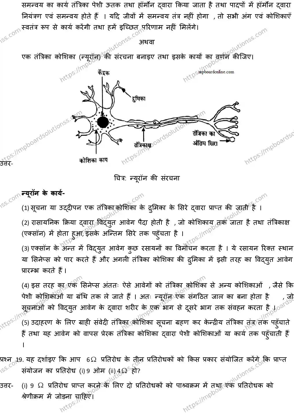MP Board CLASS 10 SCIENCE-WITH-ANSWER-1 2019 Sample Paper Image 10