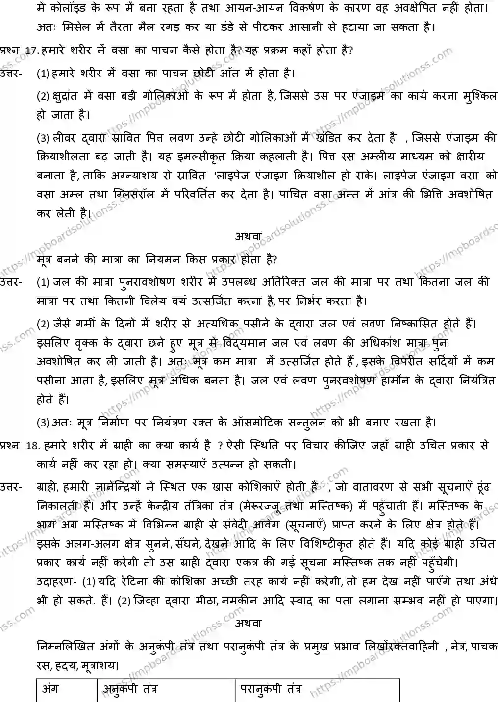 MP Board CLASS 10 SCIENCE-WITH-ANSWER-2 2019 Sample Paper Image 10