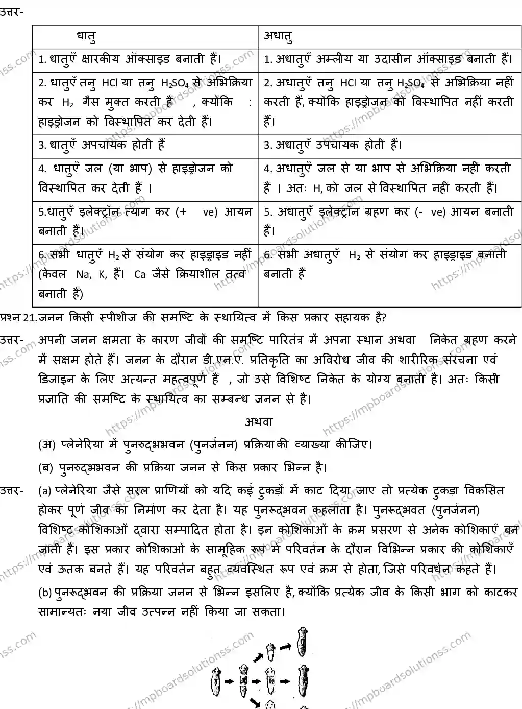 MP Board CLASS 10 SCIENCE-WITH-ANSWER-4 2019 Sample Paper Image 12