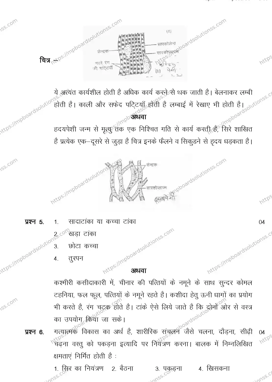 MP Board CLASS 11 ARTS-HOME-SCIENCE 2018 Sample Paper Image 7