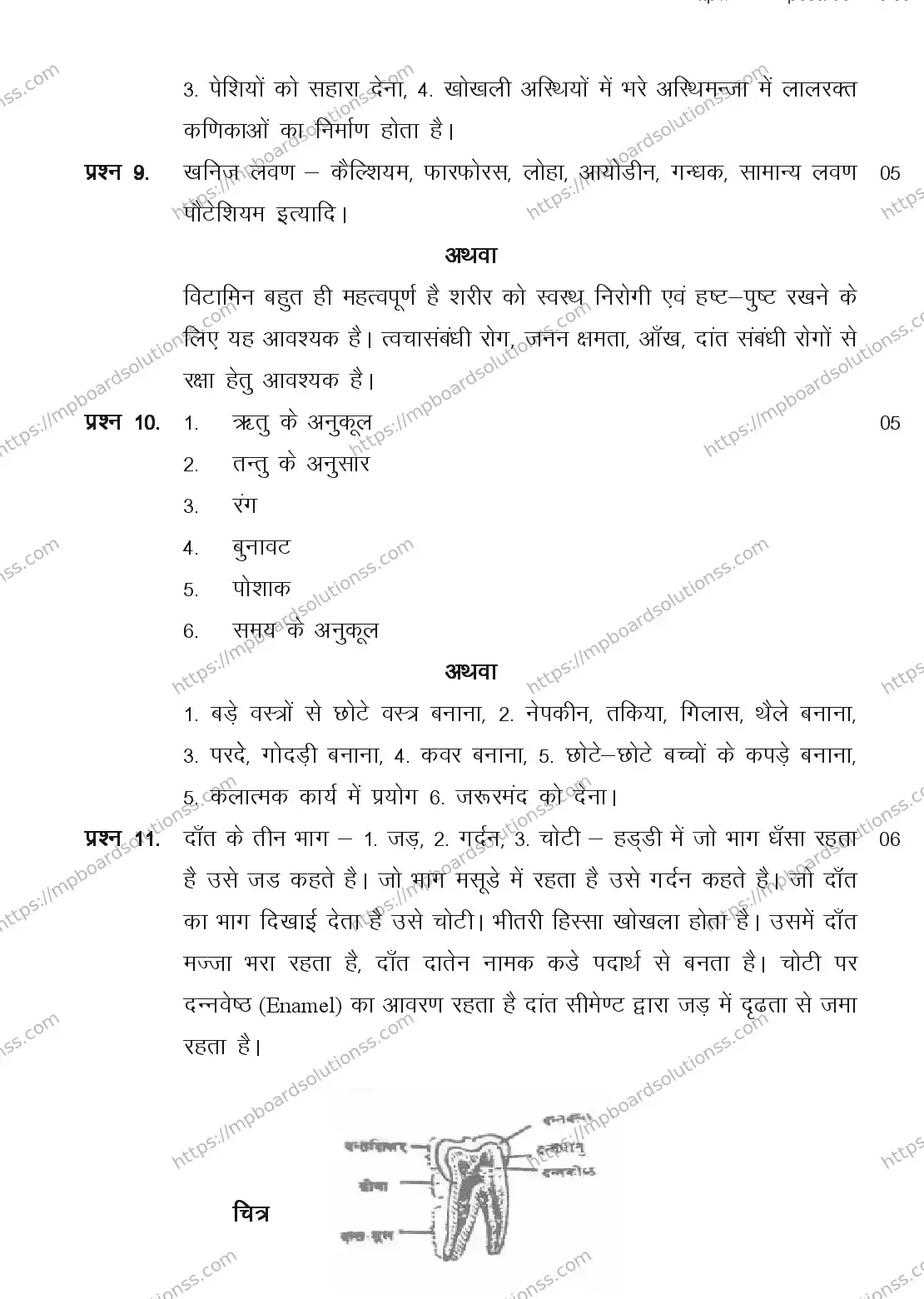 MP Board CLASS 11 ARTS-HOME-SCIENCE 2018 Sample Paper Image 9