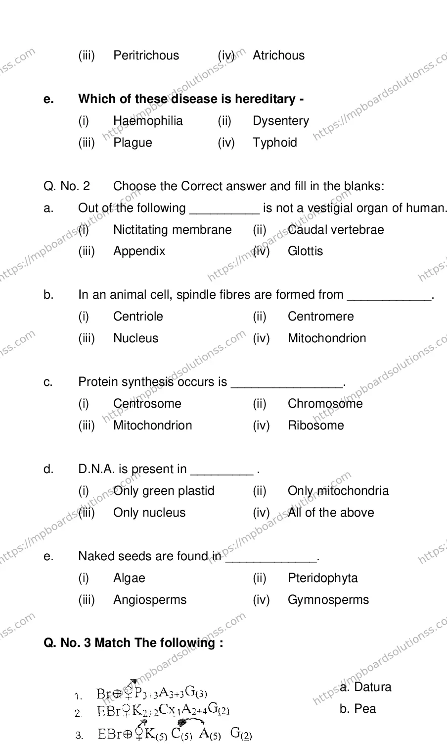 MP Board CLASS 11 BIOLOGY 2018 Sample Paper Image 33
